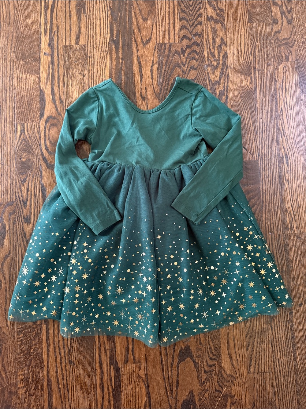 Hanna Andersson Long Sleeve Shimmer Tulle Dress